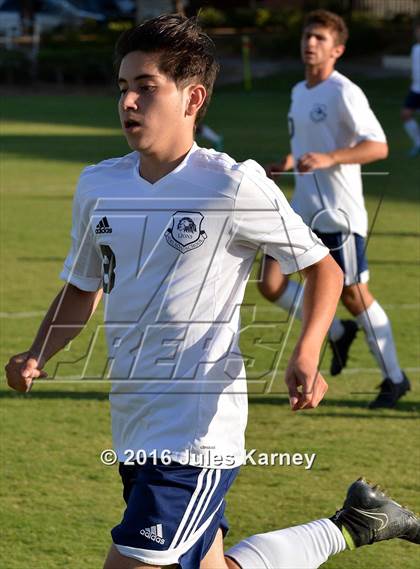 Thumbnail 1 in Adelson vs. Virgin Valley photogallery.