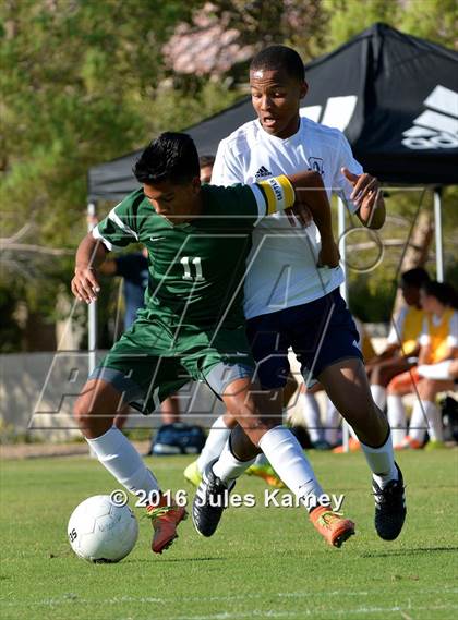 Thumbnail 3 in Adelson vs. Virgin Valley photogallery.