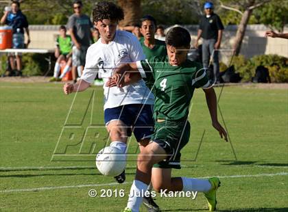 Thumbnail 3 in Adelson vs. Virgin Valley photogallery.