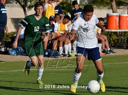 Thumbnail 2 in Adelson vs. Virgin Valley photogallery.