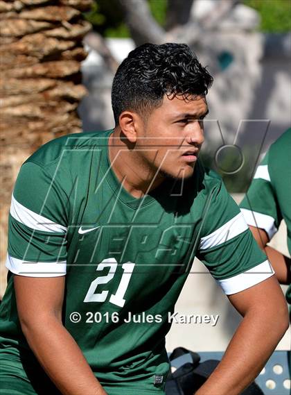 Thumbnail 3 in Adelson vs. Virgin Valley photogallery.