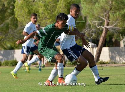 Thumbnail 3 in Adelson vs. Virgin Valley photogallery.