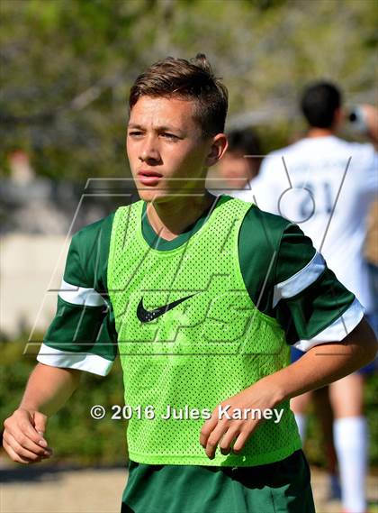 Thumbnail 3 in Adelson vs. Virgin Valley photogallery.