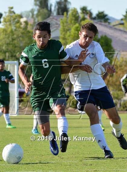 Thumbnail 3 in Adelson vs. Virgin Valley photogallery.