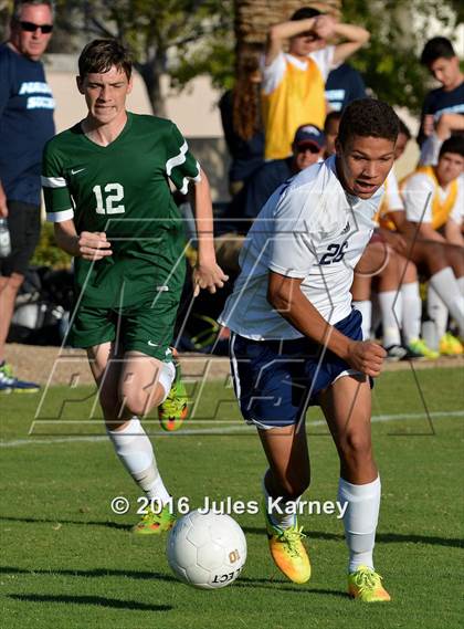 Thumbnail 1 in Adelson vs. Virgin Valley photogallery.