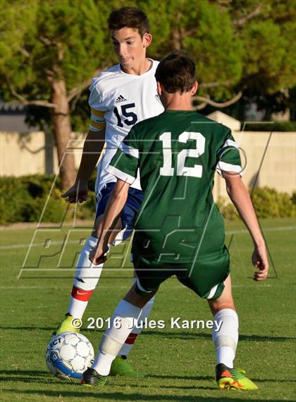 Thumbnail 2 in Adelson vs. Virgin Valley photogallery.
