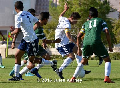 Thumbnail 1 in Adelson vs. Virgin Valley photogallery.