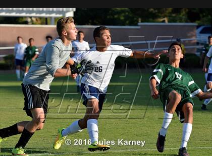 Thumbnail 1 in Adelson vs. Virgin Valley photogallery.