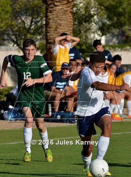 Thumbnail 3 in Adelson vs. Virgin Valley photogallery.