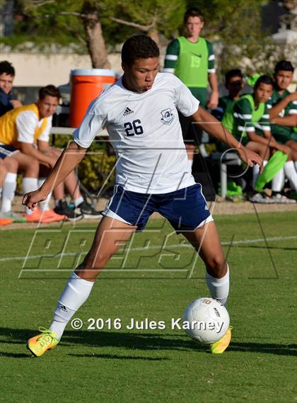 Thumbnail 3 in Adelson vs. Virgin Valley photogallery.