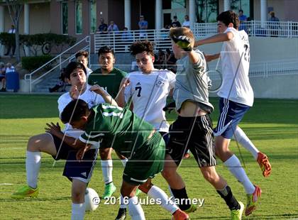 Thumbnail 2 in Adelson vs. Virgin Valley photogallery.