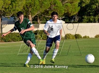 Thumbnail 2 in Adelson vs. Virgin Valley photogallery.