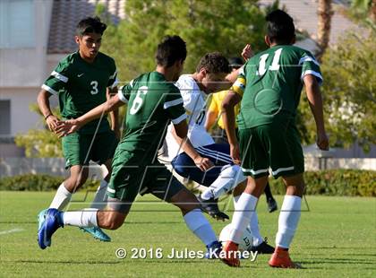 Thumbnail 2 in Adelson vs. Virgin Valley photogallery.