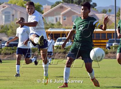 Thumbnail 3 in Adelson vs. Virgin Valley photogallery.