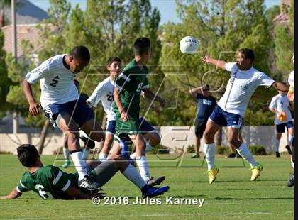 Thumbnail 2 in Adelson vs. Virgin Valley photogallery.