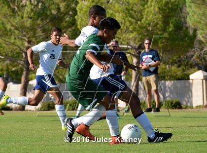 Thumbnail 2 in Adelson vs. Virgin Valley photogallery.