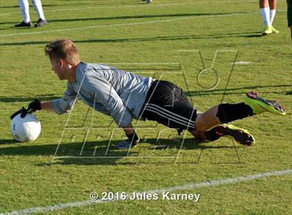 Thumbnail 2 in Adelson vs. Virgin Valley photogallery.
