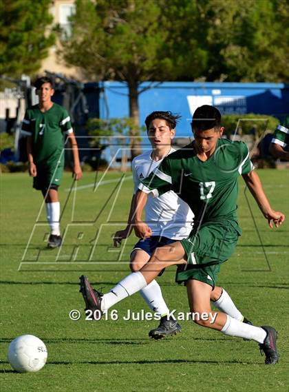 Thumbnail 3 in Adelson vs. Virgin Valley photogallery.