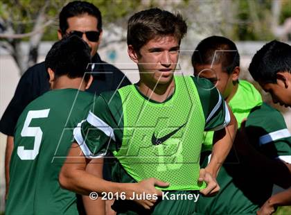 Thumbnail 3 in Adelson vs. Virgin Valley photogallery.