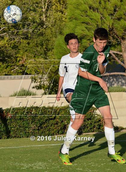 Thumbnail 3 in Adelson vs. Virgin Valley photogallery.