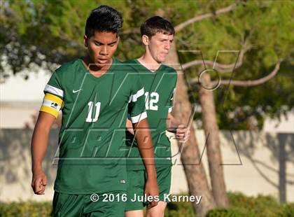 Thumbnail 3 in Adelson vs. Virgin Valley photogallery.
