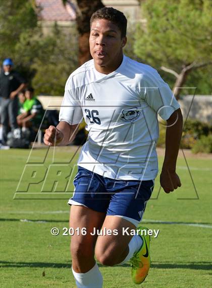 Thumbnail 2 in Adelson vs. Virgin Valley photogallery.