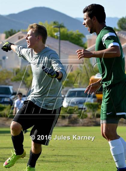 Thumbnail 2 in Adelson vs. Virgin Valley photogallery.