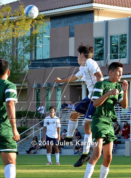 Thumbnail 2 in Adelson vs. Virgin Valley photogallery.