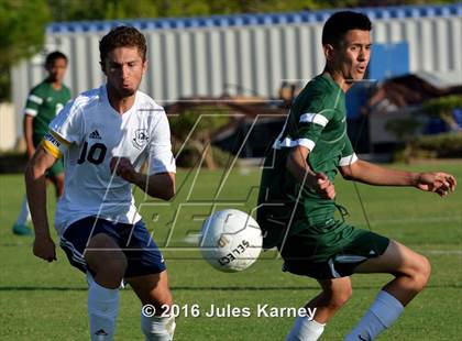 Thumbnail 3 in Adelson vs. Virgin Valley photogallery.
