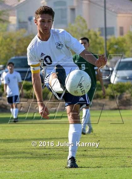 Thumbnail 1 in Adelson vs. Virgin Valley photogallery.