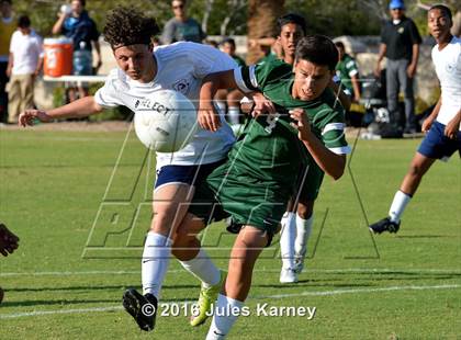Thumbnail 2 in Adelson vs. Virgin Valley photogallery.
