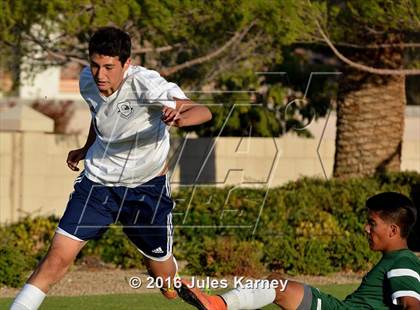 Thumbnail 3 in Adelson vs. Virgin Valley photogallery.