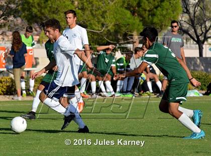 Thumbnail 3 in Adelson vs. Virgin Valley photogallery.