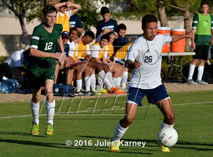 Thumbnail 1 in Adelson vs. Virgin Valley photogallery.