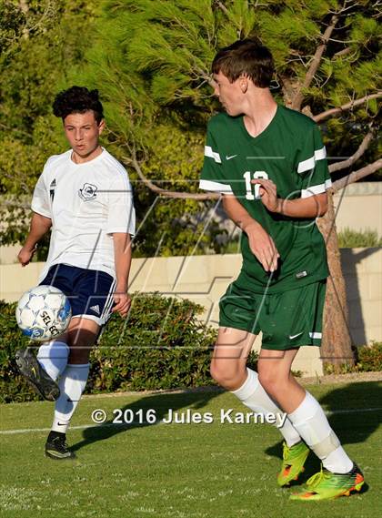 Thumbnail 2 in Adelson vs. Virgin Valley photogallery.
