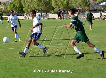 Thumbnail 2 in Adelson vs. Virgin Valley photogallery.