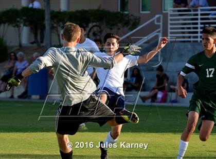 Thumbnail 1 in Adelson vs. Virgin Valley photogallery.