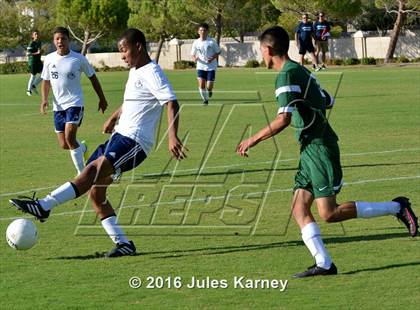 Thumbnail 3 in Adelson vs. Virgin Valley photogallery.
