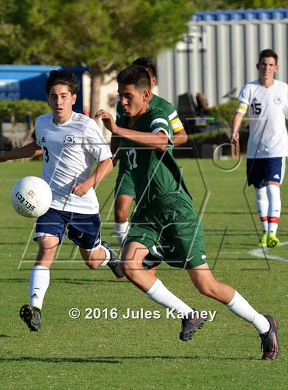 Thumbnail 1 in Adelson vs. Virgin Valley photogallery.