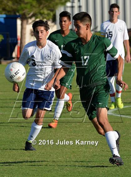 Thumbnail 3 in Adelson vs. Virgin Valley photogallery.