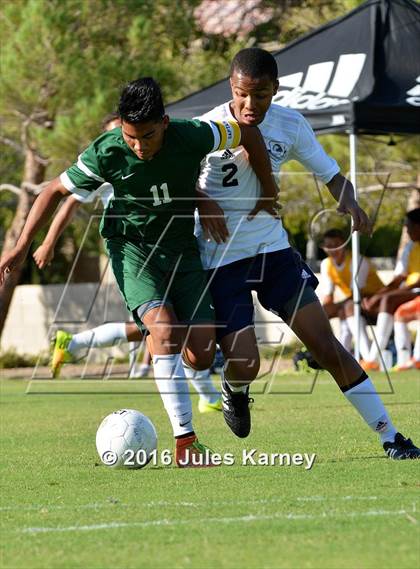 Thumbnail 2 in Adelson vs. Virgin Valley photogallery.