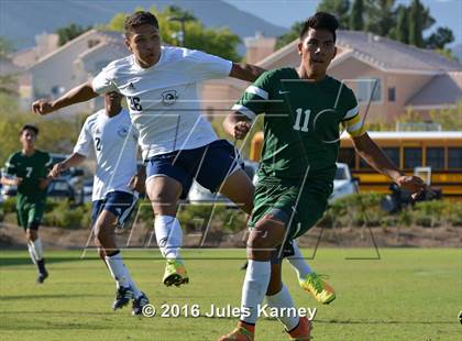 Thumbnail 1 in Adelson vs. Virgin Valley photogallery.