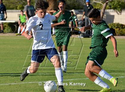 Thumbnail 2 in Adelson vs. Virgin Valley photogallery.