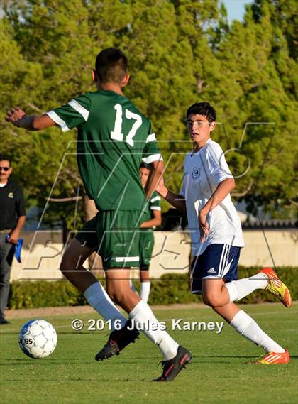 Thumbnail 3 in Adelson vs. Virgin Valley photogallery.