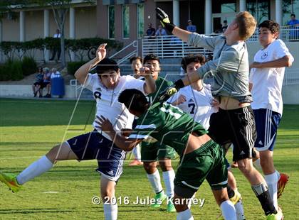 Thumbnail 1 in Adelson vs. Virgin Valley photogallery.