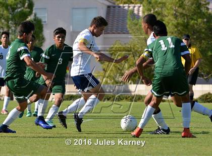 Thumbnail 3 in Adelson vs. Virgin Valley photogallery.