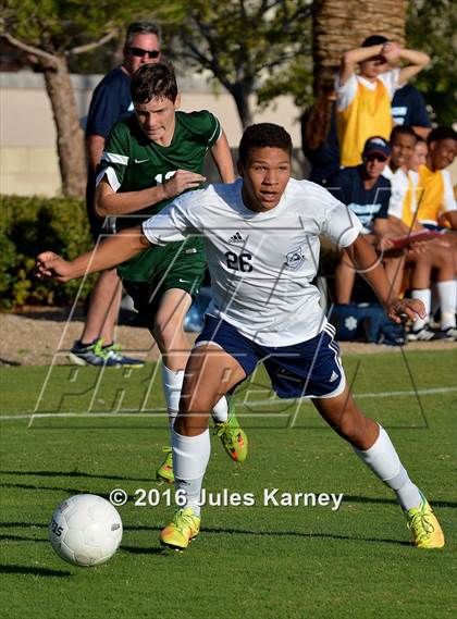 Thumbnail 2 in Adelson vs. Virgin Valley photogallery.