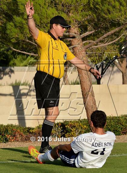 Thumbnail 1 in Adelson vs. Virgin Valley photogallery.