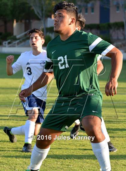 Thumbnail 1 in Adelson vs. Virgin Valley photogallery.