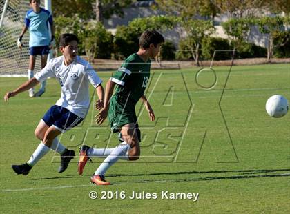 Thumbnail 2 in Adelson vs. Virgin Valley photogallery.